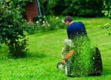 Kwikfynd Lawn Mowing
ringwoodeast