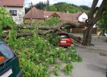Kwikfynd Tree Cutting Services
ringwoodeast