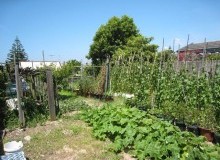 Kwikfynd Vegetable Gardens
ringwoodeast